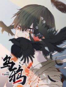 Background Cover