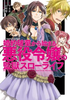 Anime Cover