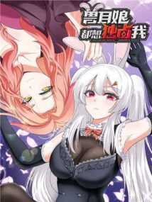 Background Cover