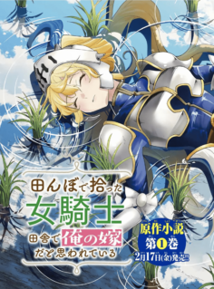 Anime Cover
